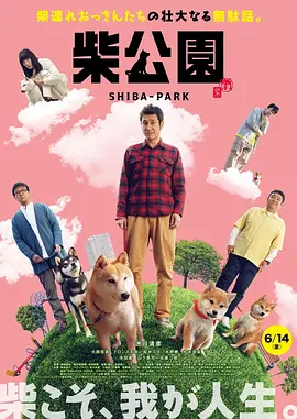 纯度损失
